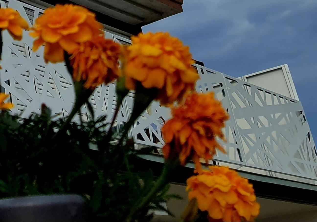 Villa Sunshine Baum Marina Eksteriør bilde